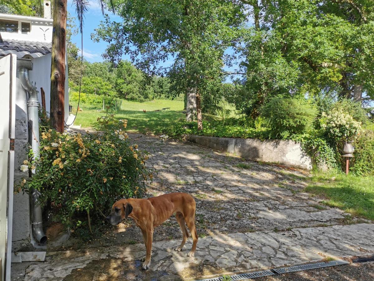 Le Marchon Ferienwohnung Bazens Exteriér fotografie